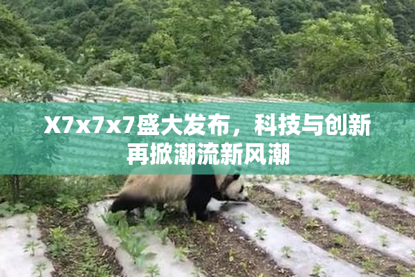 X7x7x7盛大发布，科技与创新再掀潮流新风潮