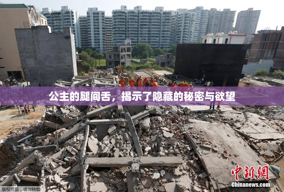 公主的腿间舌，揭示了隐藏的秘密与欲望