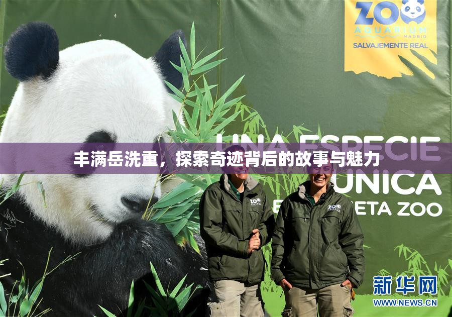 丰满岳洗重，探索奇迹背后的故事与魅力