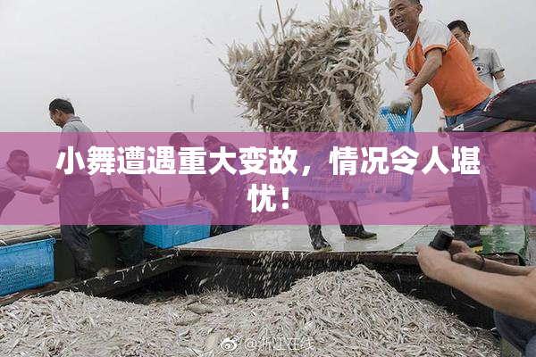 小舞遭遇重大变故，情况令人堪忧！