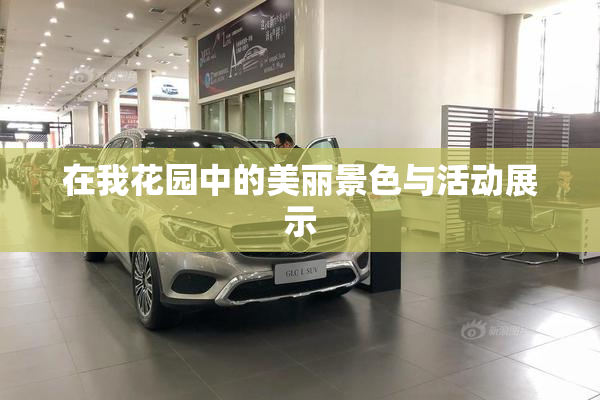 在我花园中的美丽景色与活动展示