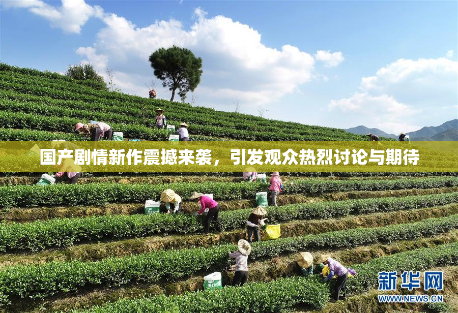 国产剧情新作震撼来袭，引发观众热烈讨论与期待