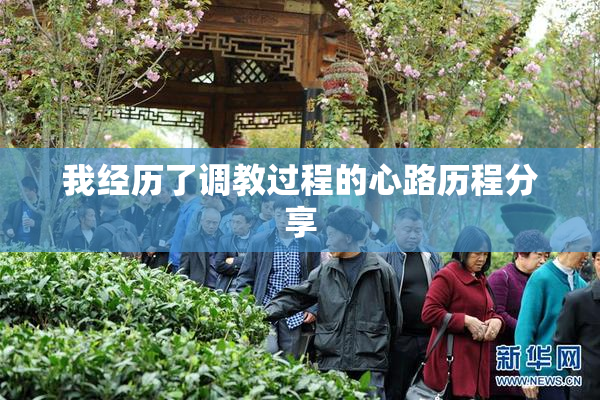 我经历了调教过程的心路历程分享