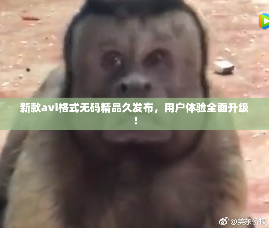新款avi格式无码精品久发布，用户体验全面升级！