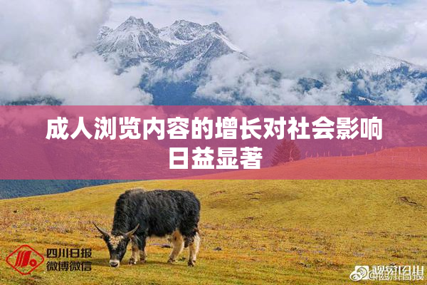 成人浏览内容的增长对社会影响日益显著
