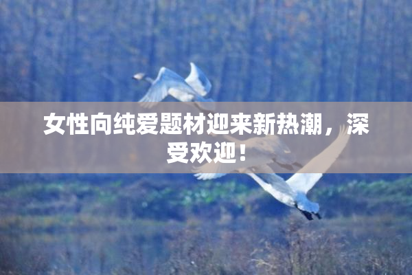 女性向纯爱题材迎来新热潮，深受欢迎！