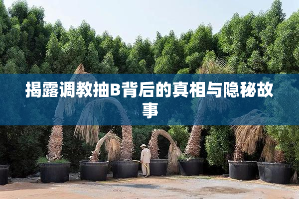 揭露调教抽B背后的真相与隐秘故事