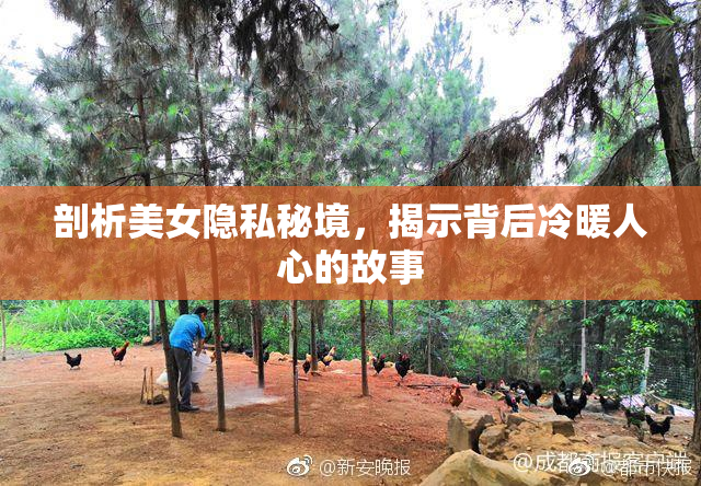 剖析美女隐私秘境，揭示背后冷暖人心的故事