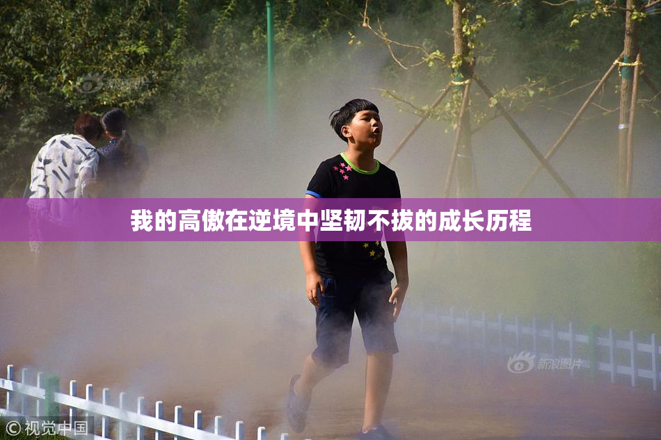 我的高傲在逆境中坚韧不拔的成长历程