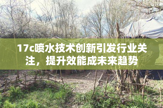 17c喷水技术创新引发行业关注，提升效能成未来趋势