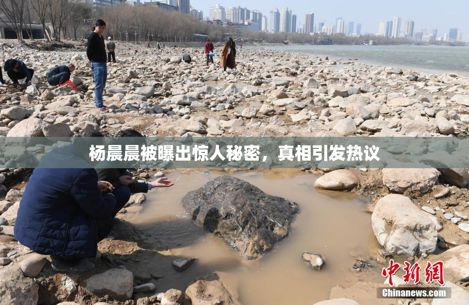 杨晨晨被曝出惊人秘密，真相引发热议