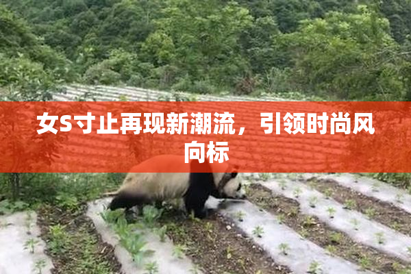 女S寸止再现新潮流，引领时尚风向标