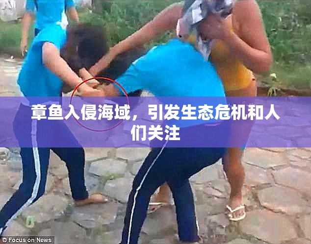 章鱼入侵海域，引发生态危机和人们关注