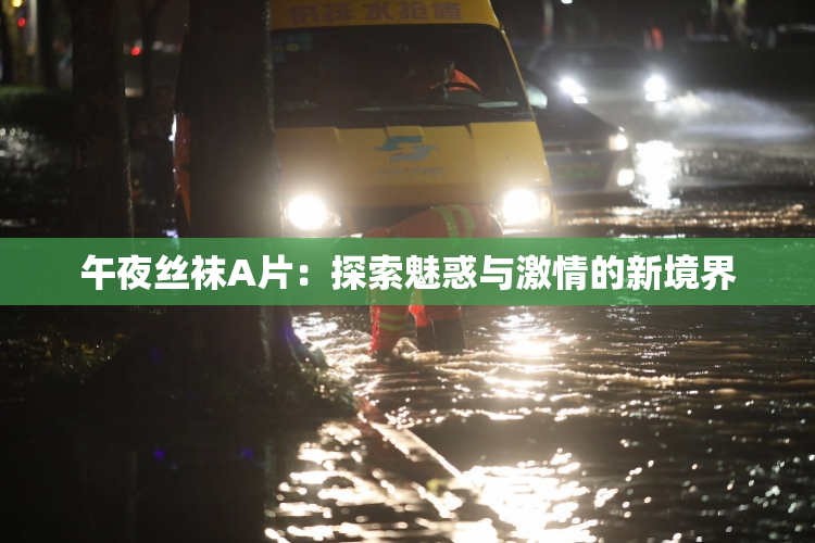 午夜丝袜A片：探索魅惑与激情的新境界