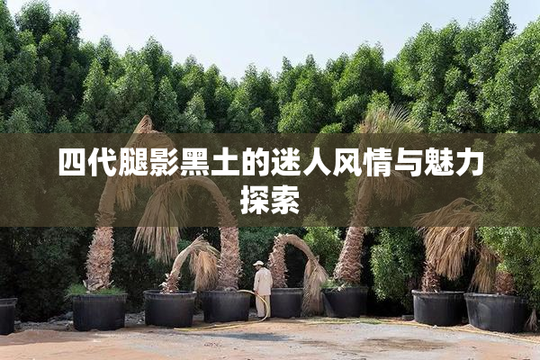 四代腿影黑土的迷人风情与魅力探索