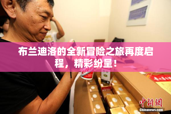 布兰迪洛的全新冒险之旅再度启程，精彩纷呈！