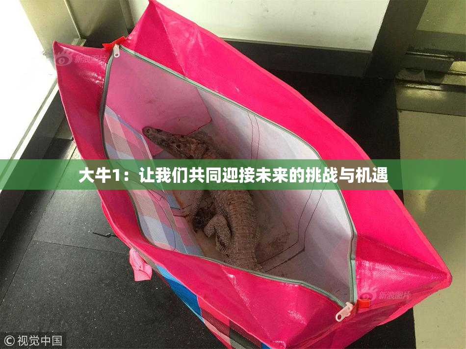 大牛1：让我们共同迎接未来的挑战与机遇