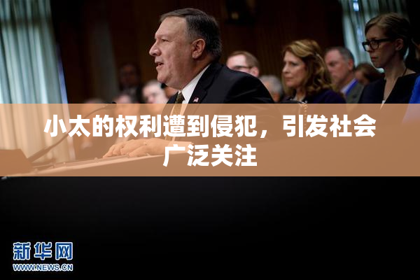 小太的权利遭到侵犯，引发社会广泛关注