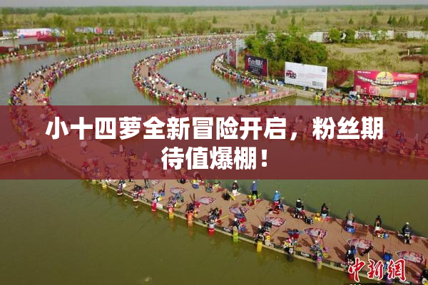 小十四萝全新冒险开启，粉丝期待值爆棚！