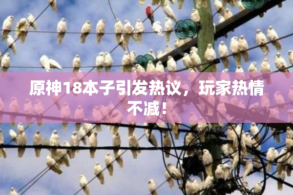 原神18本子引发热议，玩家热情不减！