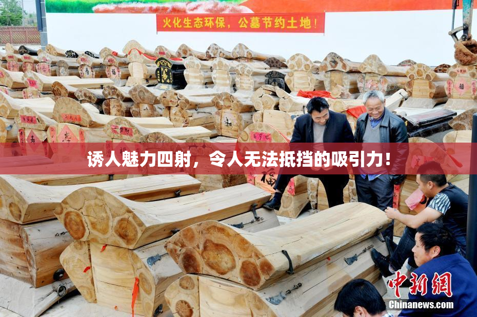 诱人魅力四射，令人无法抵挡的吸引力！