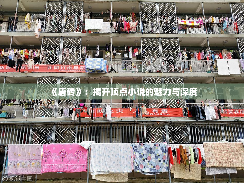 《唐砖》：揭开顶点小说的魅力与深度