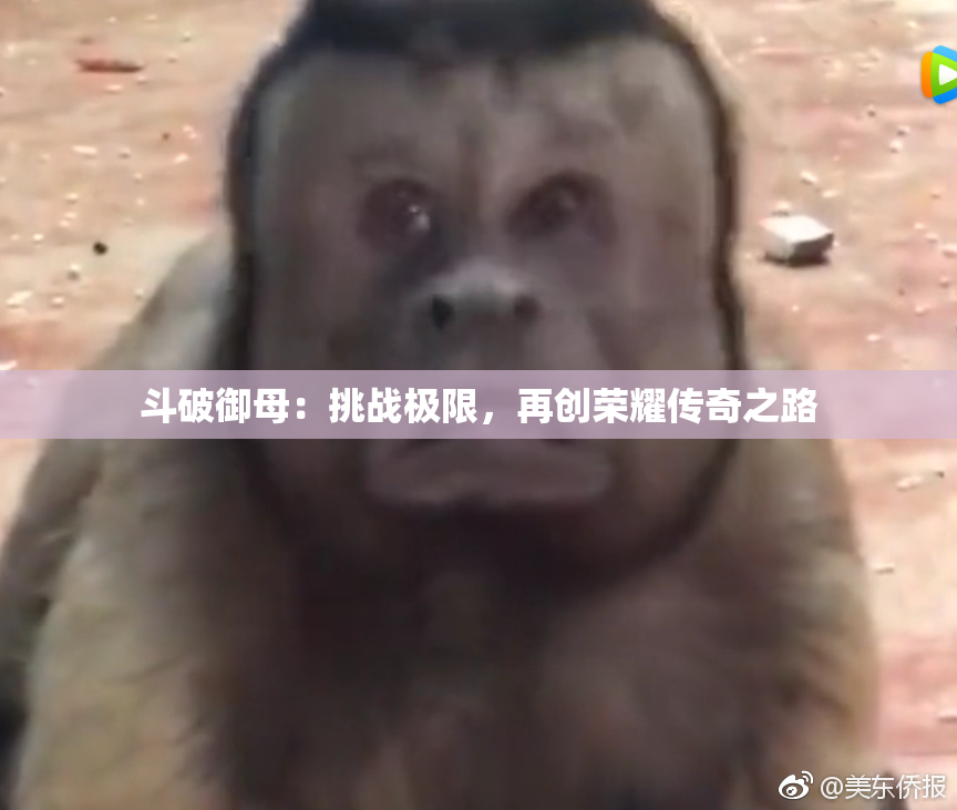 斗破御母：挑战极限，再创荣耀传奇之路