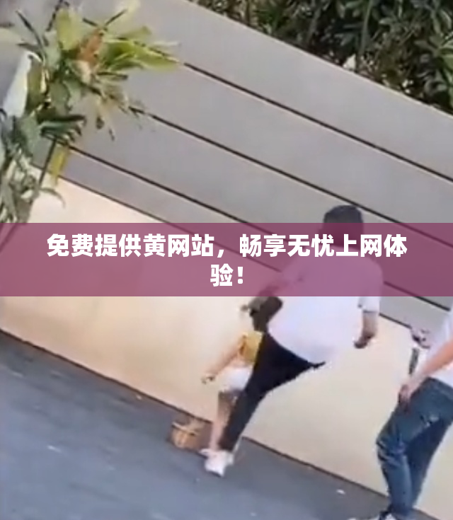 免费提供黄网站，畅享无忧上网体验！