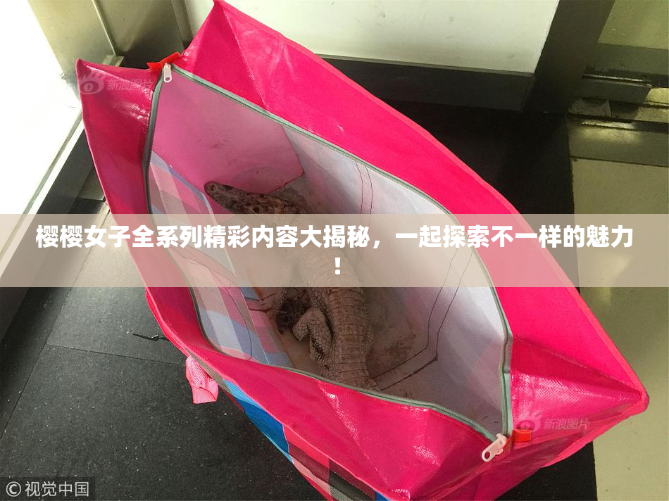 樱樱女子全系列精彩内容大揭秘，一起探索不一样的魅力！