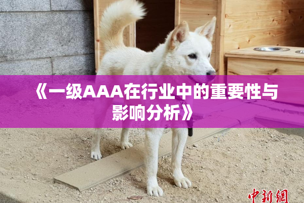 《一级AAA在行业中的重要性与影响分析》