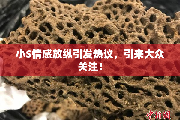 小S情感放纵引发热议，引来大众关注！