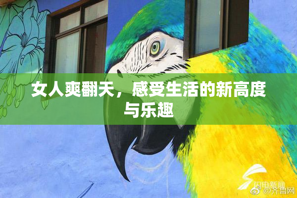 女人爽翻天，感受生活的新高度与乐趣