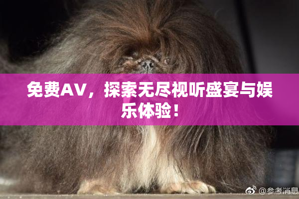 免费AV，探索无尽视听盛宴与娱乐体验！