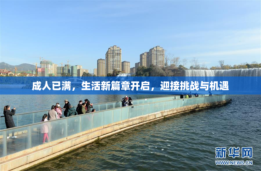 成人已满，生活新篇章开启，迎接挑战与机遇