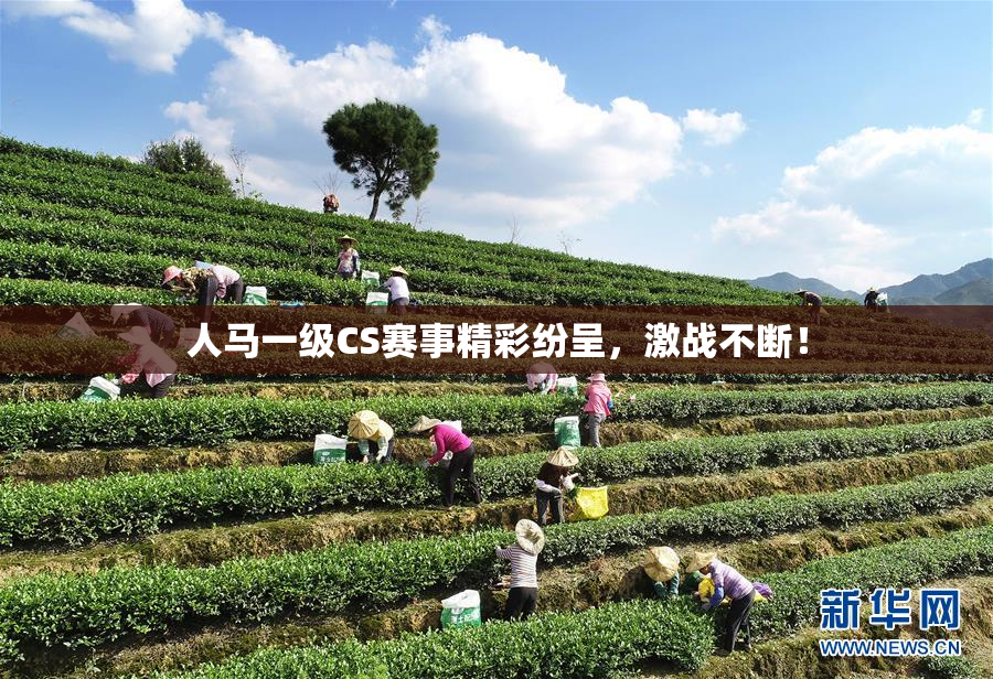 人马一级CS赛事精彩纷呈，激战不断！