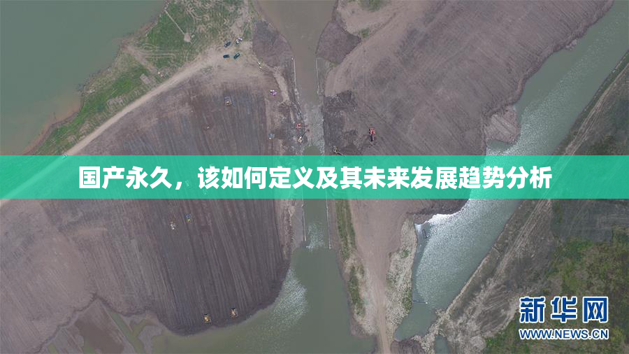 国产永久，该如何定义及其未来发展趋势分析
