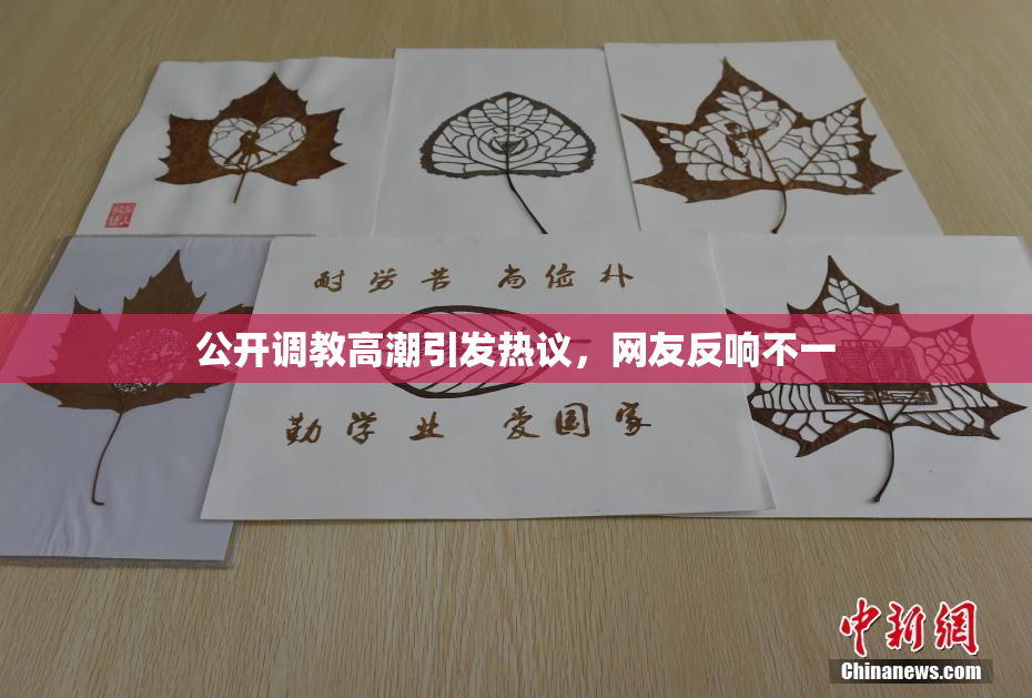 公开调教高潮引发热议，网友反响不一