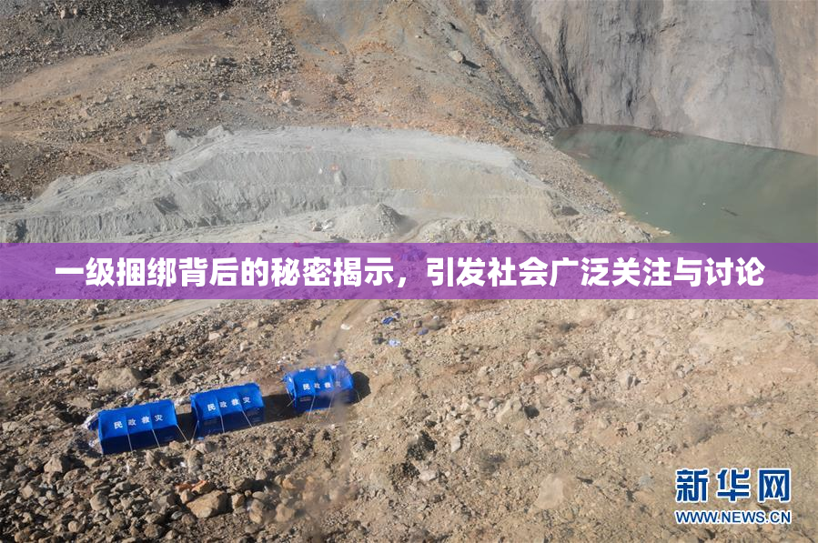 一级捆绑背后的秘密揭示，引发社会广泛关注与讨论