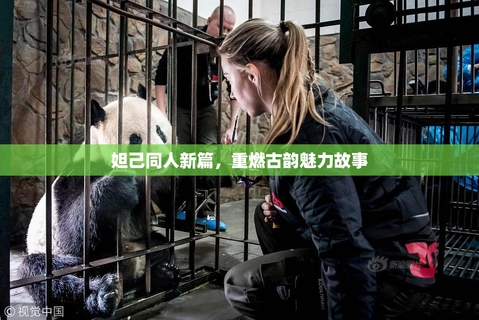 妲己同人新篇，重燃古韵魅力故事