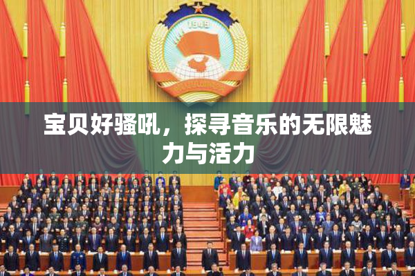 宝贝好骚吼，探寻音乐的无限魅力与活力