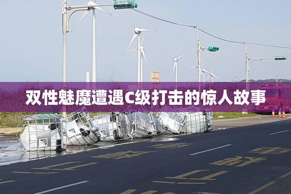 双性魅魔遭遇C级打击的惊人故事
