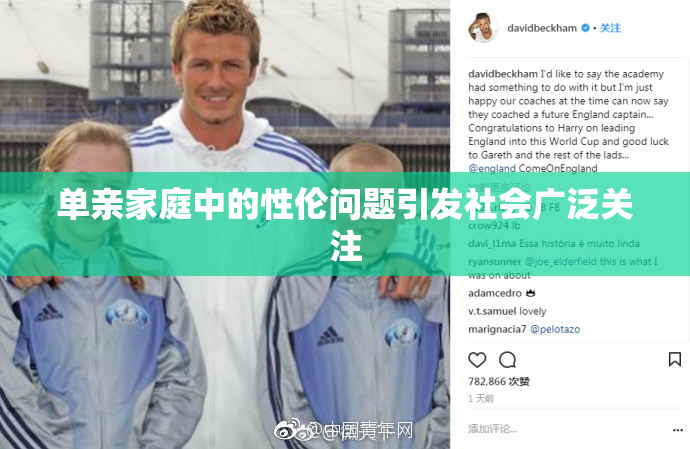 单亲家庭中的性伦问题引发社会广泛关注