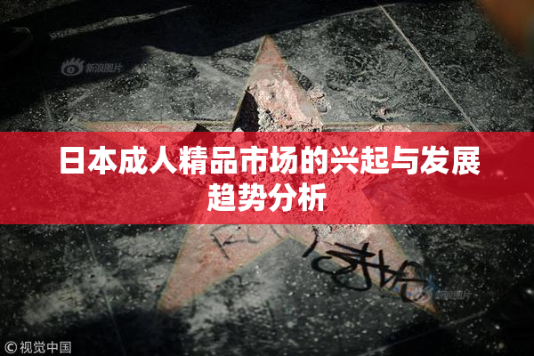 日本成人精品市场的兴起与发展趋势分析