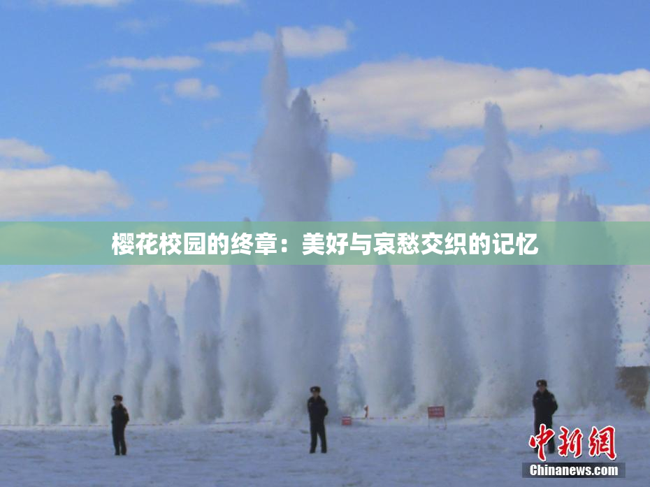 樱花校园的终章：美好与哀愁交织的记忆