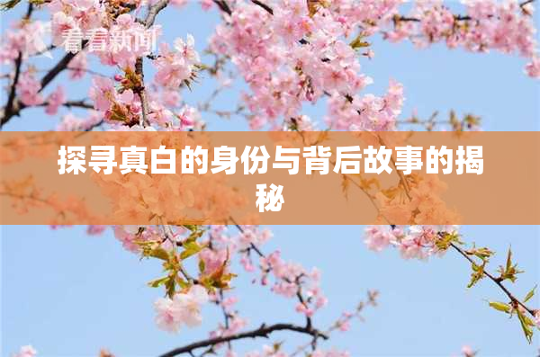 探寻真白的身份与背后故事的揭秘