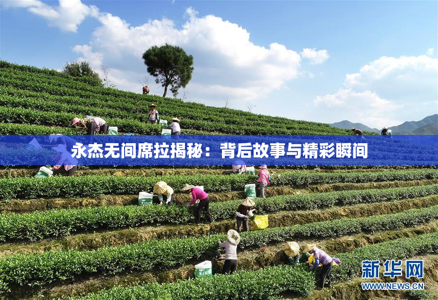 永杰无间席拉揭秘：背后故事与精彩瞬间