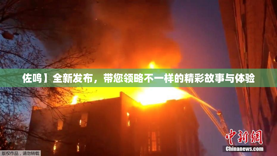 佐鸣】全新发布，带您领略不一样的精彩故事与体验