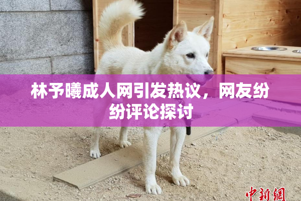 林予曦成人网引发热议，网友纷纷评论探讨