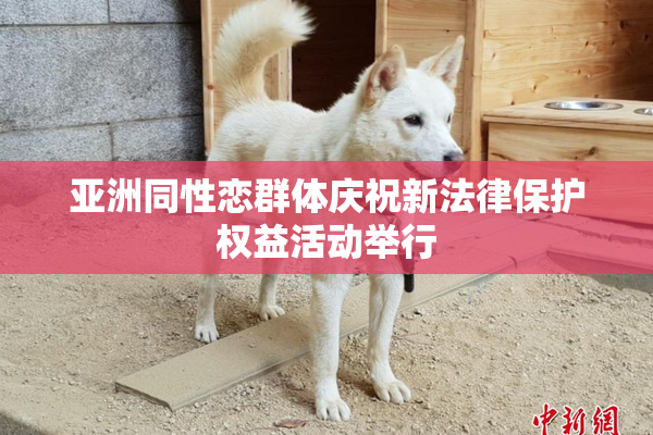 亚洲同性恋群体庆祝新法律保护权益活动举行