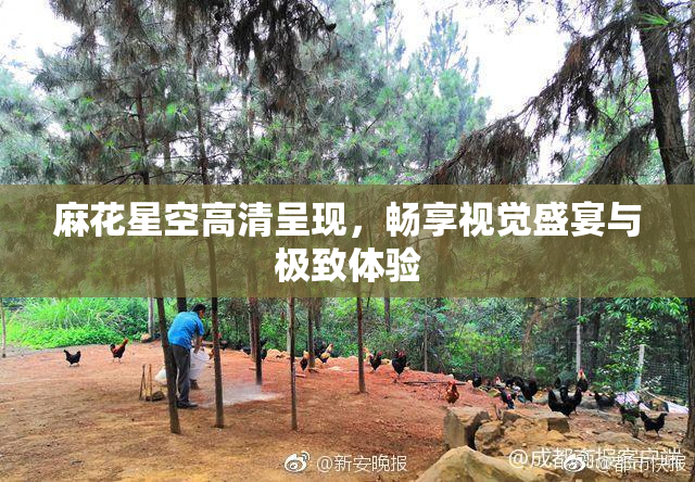 麻花星空高清呈现，畅享视觉盛宴与极致体验